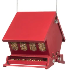 Absolute II Squirrel-Proof Hopper Bird Feeder, Mini, Holds 4-Lbs.