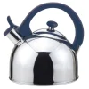 Acacia Blue Stainless Steel 2.1Qts. Tea Kettle