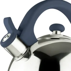 Acacia Blue Stainless Steel 2.1Qts. Tea Kettle