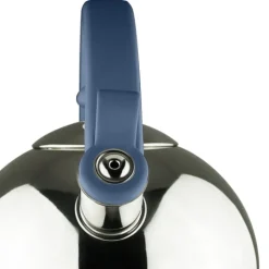 Acacia Blue Stainless Steel 2.1Qts. Tea Kettle