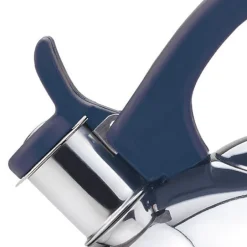 Acacia Blue Stainless Steel 2.1Qts. Tea Kettle