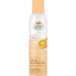 AIR FRSHR AEROSOL 6OZ