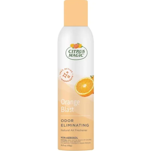 AIR FRSHR AEROSOL 6OZ