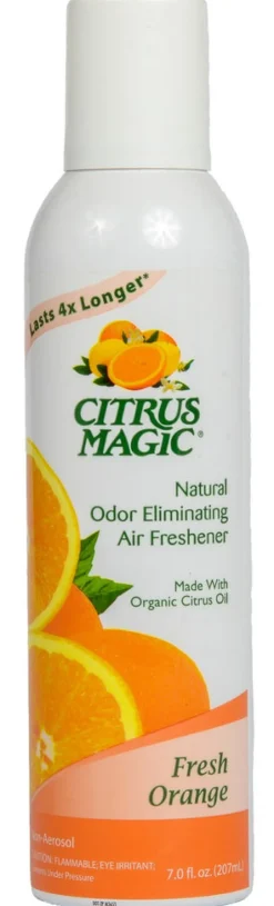 AIR FRSHR AEROSOL 6OZ