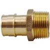 Apollo Expansion PEX / Pex A 1 in. Expansion PEX in to X 1 in. D MPT Brass Male Adapter