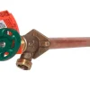 Arrowhead 1/2 in. FIP X 3/4 in. MIP Anti-Siphon Brass Wall Hydrant