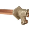 Arrowhead 3/4 in. MIP X 1/2 in. FIP Anti-Siphon Brass Hydrant