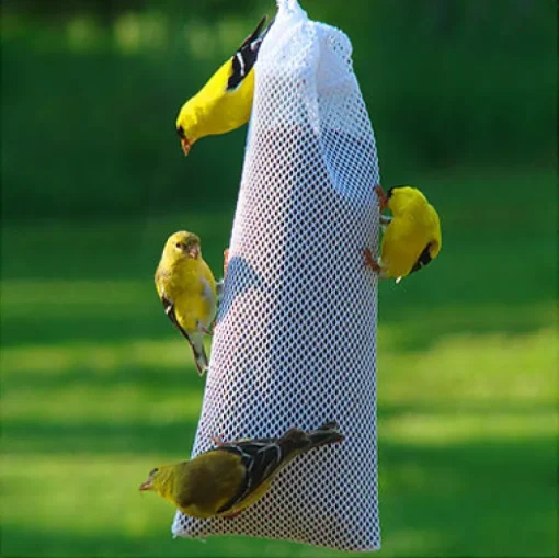 Audubon Finch 1 lb Mesh Thistle Sock Feeder 2 ports