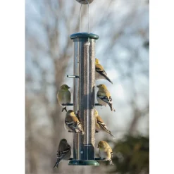 Audubon Finch 2 lb Plastic Thistle Tube Bird Feeder 8 ports