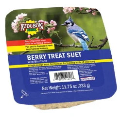 Audubon Park 51818 11 Oz Berry Audubon Park Suet Cakes (Pack of 12)
