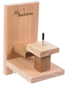 Audubon Squirrel Table and Chair Feeder Natural Cedar