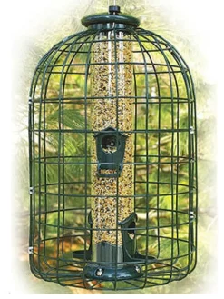 Audubon Wild Bird 1.25 lb Plastic/Wire Caged Tube Bird Feeder 4 ports