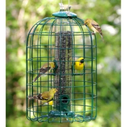 Audubon Wild Bird 1.25 lb Plastic/Wire Caged Tube Bird Feeder 4 ports