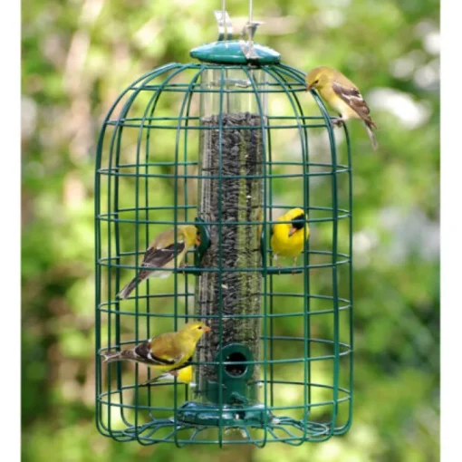 Audubon Wild Bird 1.25 lb Plastic/Wire Caged Tube Bird Feeder 4 ports