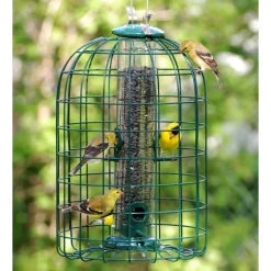 Audubon Wild Bird 1.25 lb Plastic/Wire Caged Tube Bird Feeder 4 ports