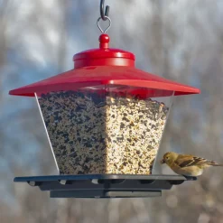 Audubon Wild Bird 7 lb Plastic Cafe Hopper Bird Feeder 4 ports