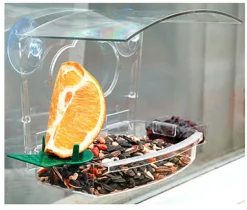 Audubon Wild Bird 1 lb Plastic Window Mount Bird Feeder 2 ports