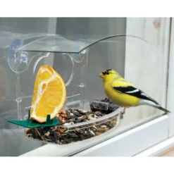 Audubon Wild Bird 1 lb Plastic Window Mount Bird Feeder 2 ports