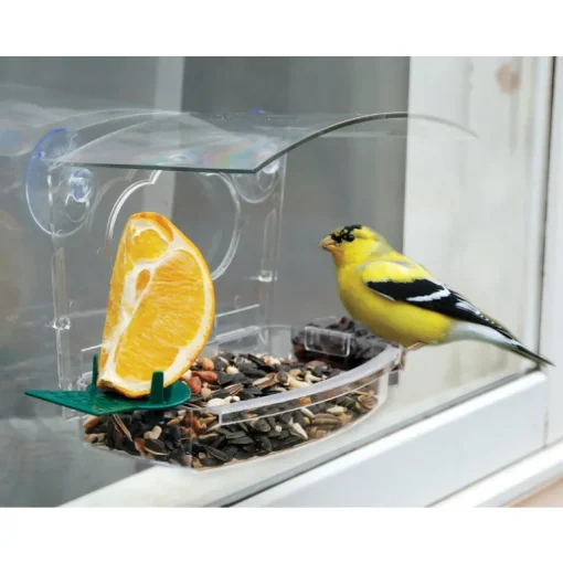 Audubon Wild Bird 1 lb Plastic Window Mount Bird Feeder 2 ports