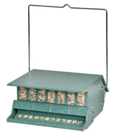 Audubon Wild Bird 9 lb Steel Hopper Bird Feeder 1 ports