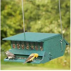 Audubon Wild Bird 9 lb Steel Hopper Bird Feeder 1 ports