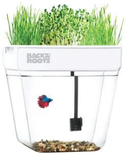Back to the Roots All Season Assorted Flower and Herb Grow Kit 3 gal.