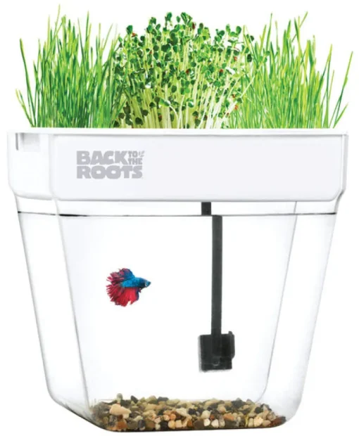 Back to the Roots All Season Assorted Flower and Herb Grow Kit 3 gal.