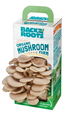 Back to the Roots Mushroom Grow Kit 1 pk