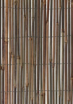 BAMBOO FENCING 60"X13'