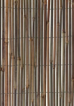 BAMBOO FENCING 60"X13'