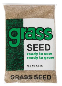 Barenbrug Annual Ryegrass Partial Shade/Sun Grass Seed 5 lb