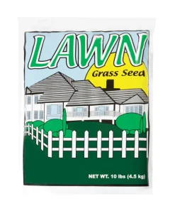 Barenbrug Annual Ryegrass Partial Shade/Sun Grass Seed 10 lb