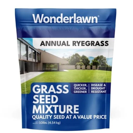 Barenbrug Annual Ryegrass Partial Shade/Sun Grass Seed 10 lb