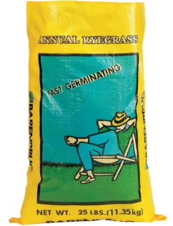 Barenbrug Annual Ryegrass Partial Shade/Sun Grass Seed 25 lb