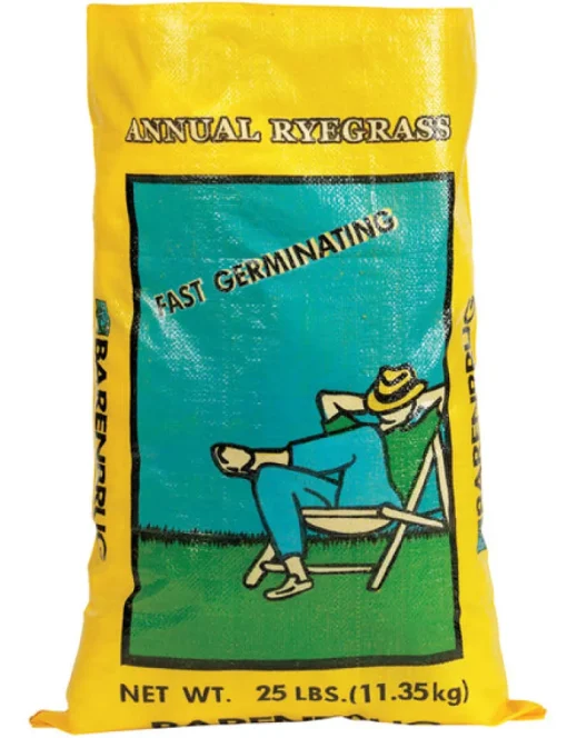 Barenbrug Annual Ryegrass Partial Shade/Sun Grass Seed 25 lb
