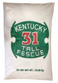 Barenbrug Kentucky 31 Tall Fescue Grass Seed 50 lb.