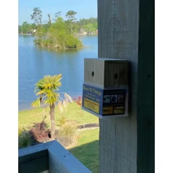 Bees N Things Odorless Outdoor Removable Carpenter Bee Trap