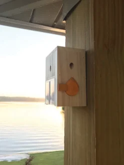 Bees N Things Odorless Outdoor Removable Carpenter Bee Trap