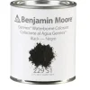 Benjamin Moore Gennex Black Colorant Systems 1 qt.