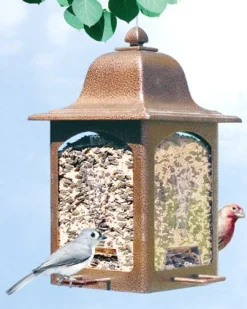 Birdscapes 367 5 Lb Capacity Rustic Brown Lantern Bird Feeder