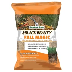 Black Beauty® Fall Magic Grass Seed 3 Lb
