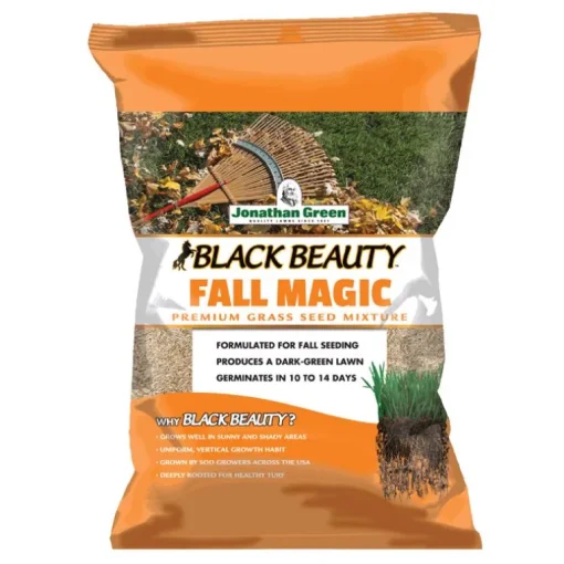 Black Beauty® Fall Magic Grass Seed 3 Lb