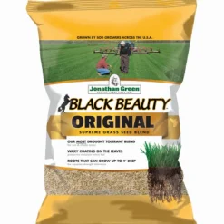 Black Beauty® Original Grass Seed 15 Lb