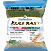 Black BeautyÂ® Texas Bluegrass Grass Seed 3 Lb