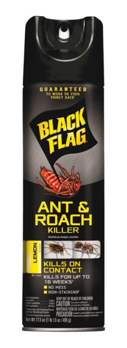 Black Flag Aerosol Ant and Roach Killer 17.5 oz. (Pack of 12)