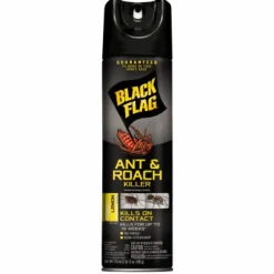 Black Flag Aerosol Ant and Roach Killer 17.5 oz. (Pack of 12)