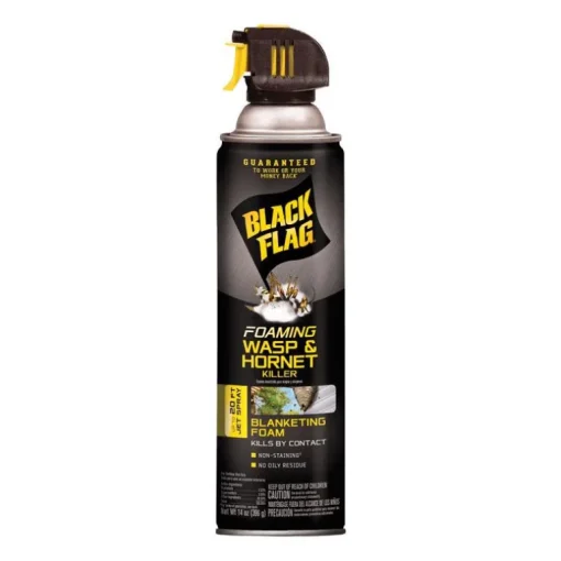 Black Flag Wasp and Hornet Killer Foam 14 oz