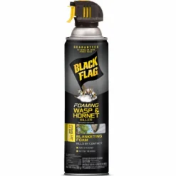 Black Flag Wasp and Hornet Killer Foam 14 oz