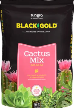 Black Gold Organic Cacti and Succulent Potting Mix 8 qt