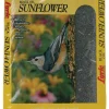 BLACK OIL SUNFLOWER 5#
